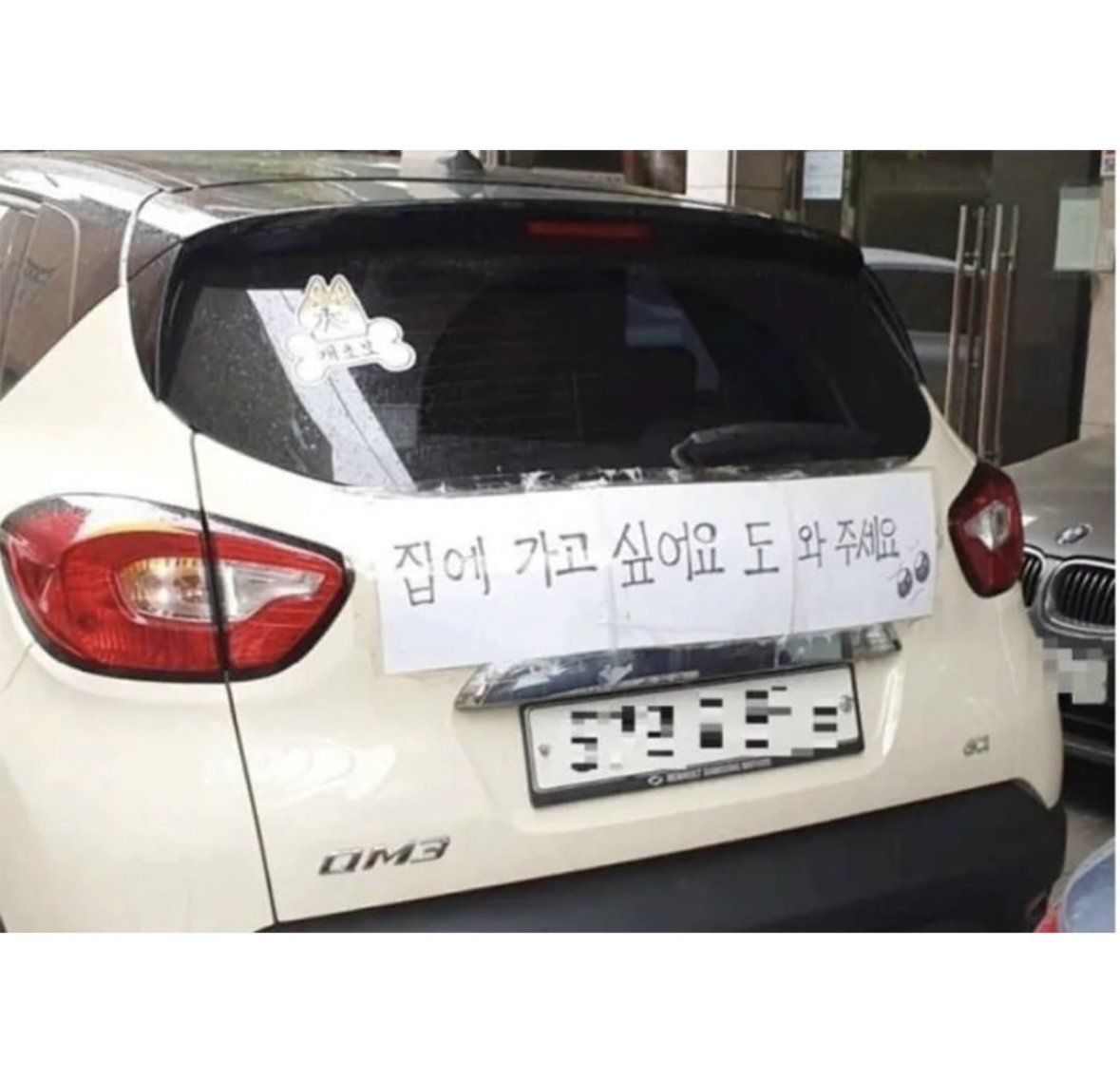 2797ACB8-466F-48CC-AC54-342792007D3A.jpeg 귀여워서 웃음 나오는 초보운전들.jpg