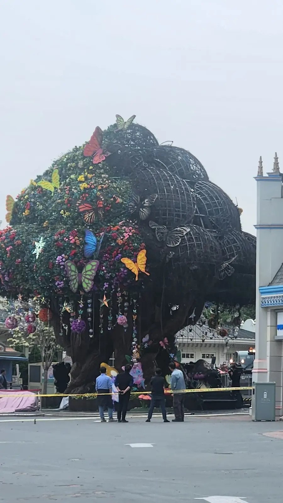 1880e0c1347484f84.webp.ren.jpg 좀 전에 화재난 에버랜드 나무 근황.jpg