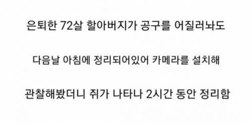 다음날만 되면 감쪽같이 정리되는 공구함의 비밀.jpg