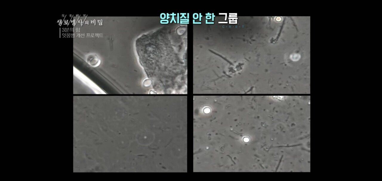 CAD99358-0911-4E81-8727-76B8F68CE372.jpeg 자기 직전에 양치질하는 사람들 충격적 실험 결과.jpg