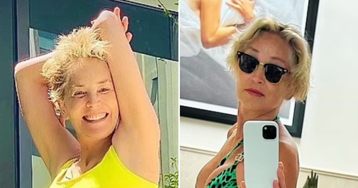 sharon4.jpg - JUST IN: Sharon Stone, 65, WOWS Fans After She Was Seen Wearing A Two Piece Only To Be Photobombed By Her Dog