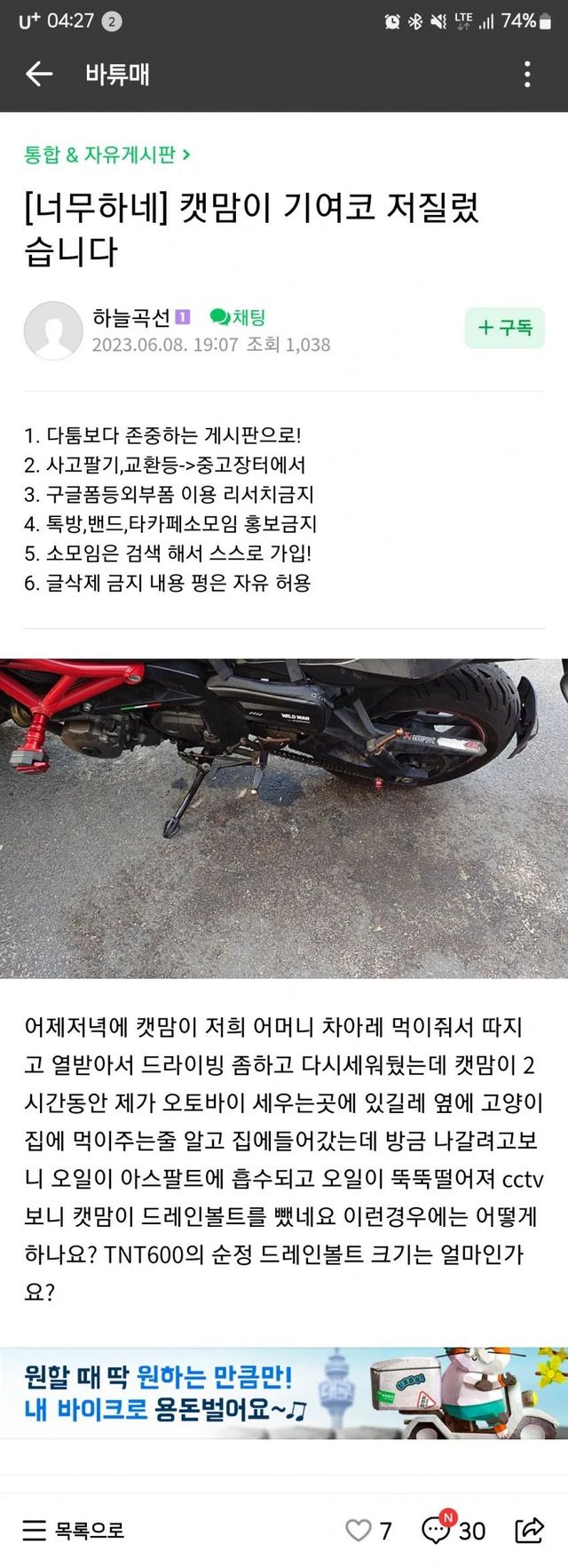 611d4604227285168c2827a267d062f7.webp.ren.jpg 캣맘 레전드 갱신... 살인미수 떳다