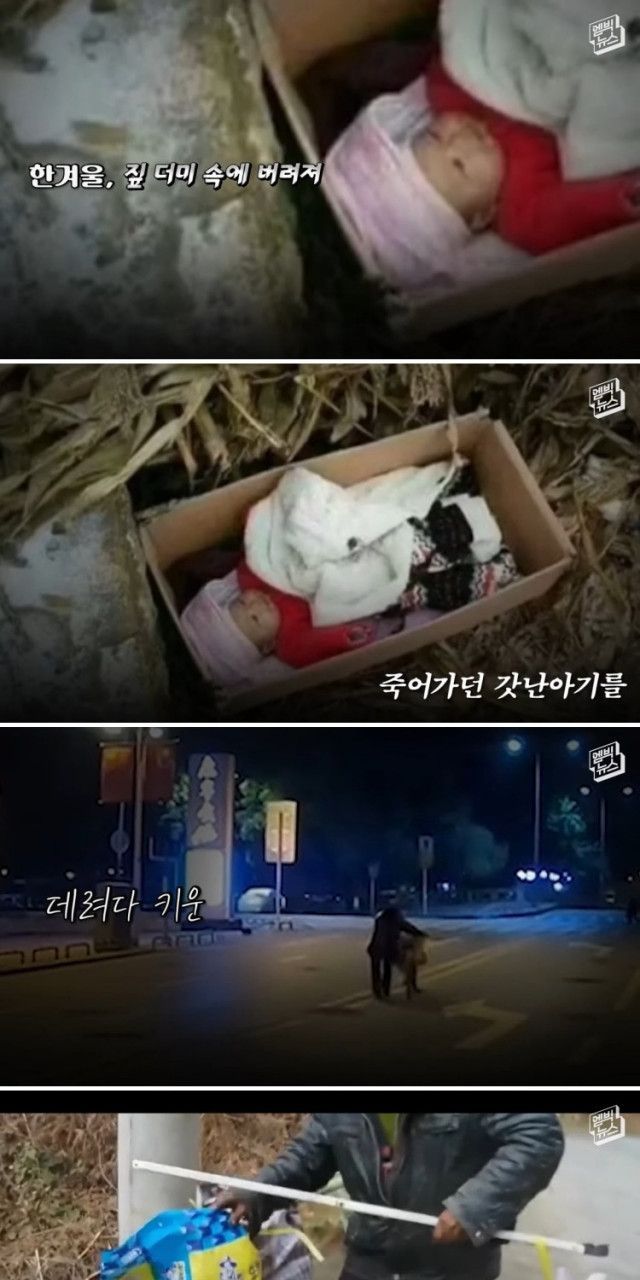 2 1 5.jpg - 버려졌던 갓난아기의 보은 노총각 아빠에게 일어난 기적
