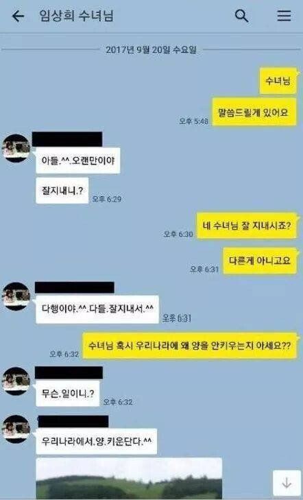 우리나라에서 양키우기 어려운 이유 ㅋㅋ
