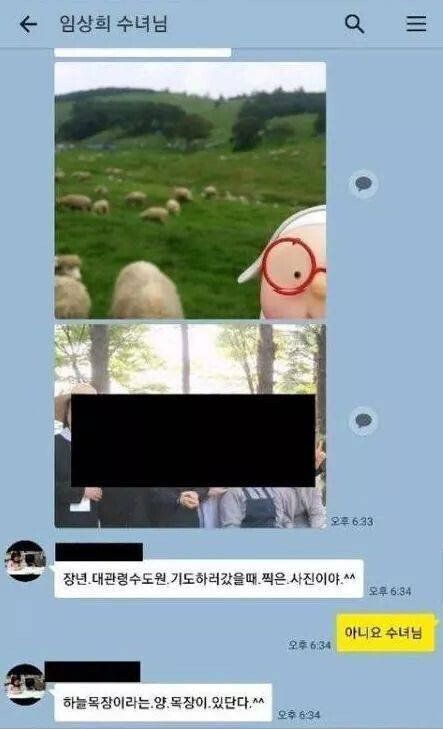 우리나라에서 양키우기 어려운 이유 ㅋㅋ