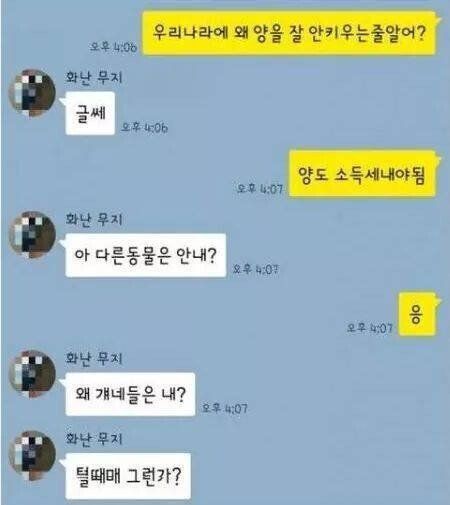 우리나라에서 양키우기 어려운 이유 ㅋㅋ
