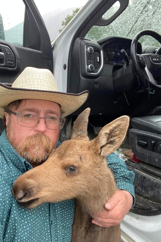 EXCLUSIVE: Man FIRED From His Job For Saving A Baby Moose From Being ...