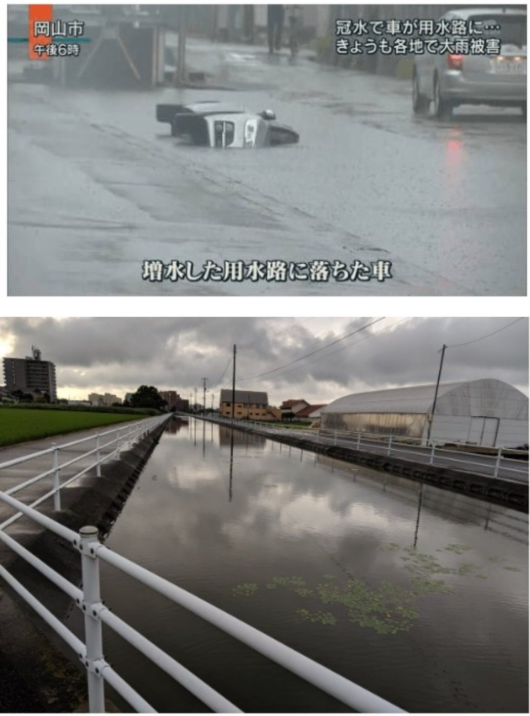 KakaoTalk_20230802_231045270_02.jpg 인공눈물 산 거 1년 동안 아껴서 썼는데