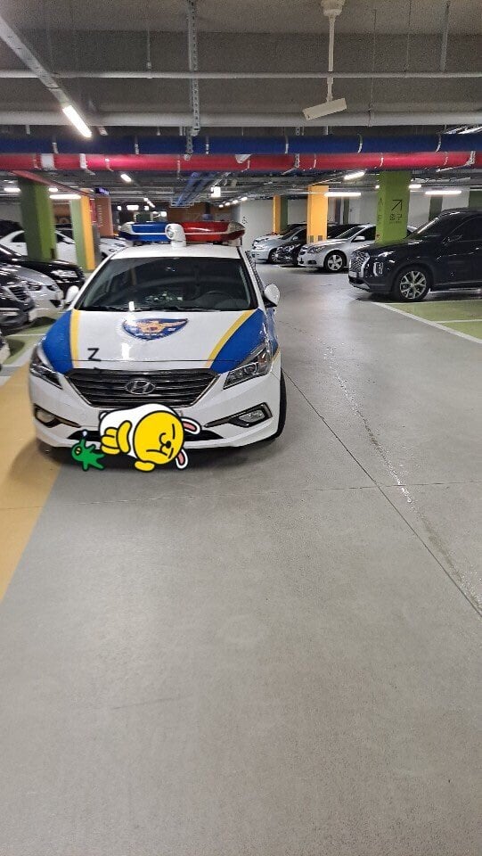 b31fafc01e6ff25d93fd41ebd9d63a6f.jpeg 내 친구 bmw랑 엘리전 중이다