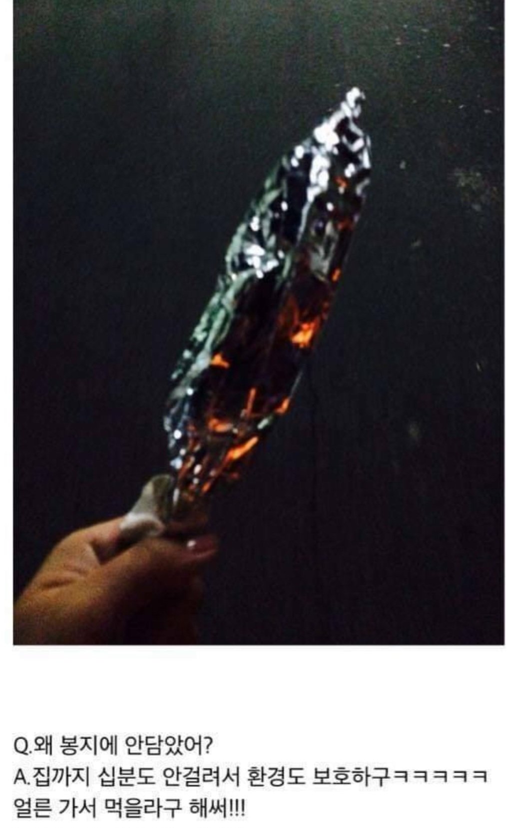 661664.jpg 닭꼬치사서 집에가다 경찰한테 걸린 이유.jpg