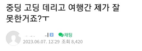 중딩 고딩 데리고 여행 간 제가 잘못한거죠?...jpg