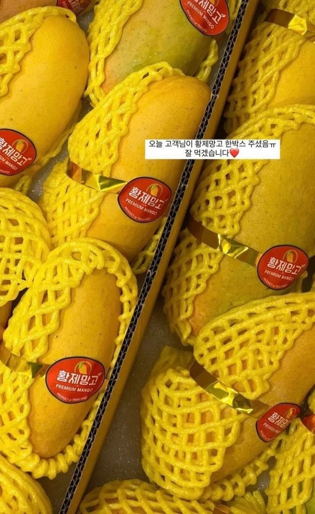 IMG_7799.webp.ren.jpg 포텐간 강남 미용실 유행글은 포도