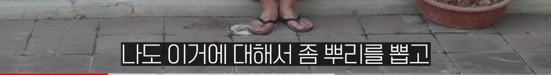 Screenshot_20230914-224746_YouTube.jpg 보겸이 근황...jpg