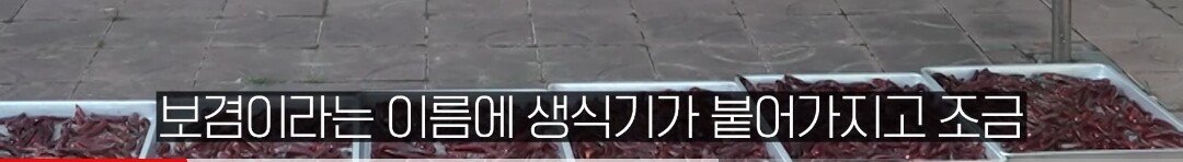 Screenshot_20230914-224704_YouTube.jpg 보겸이 근황...jpg