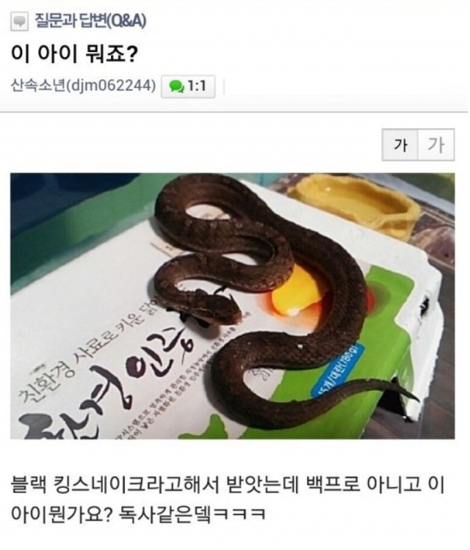 aa190610s1.jpg 한국에서 일어난 살모사 택배 테러 사건