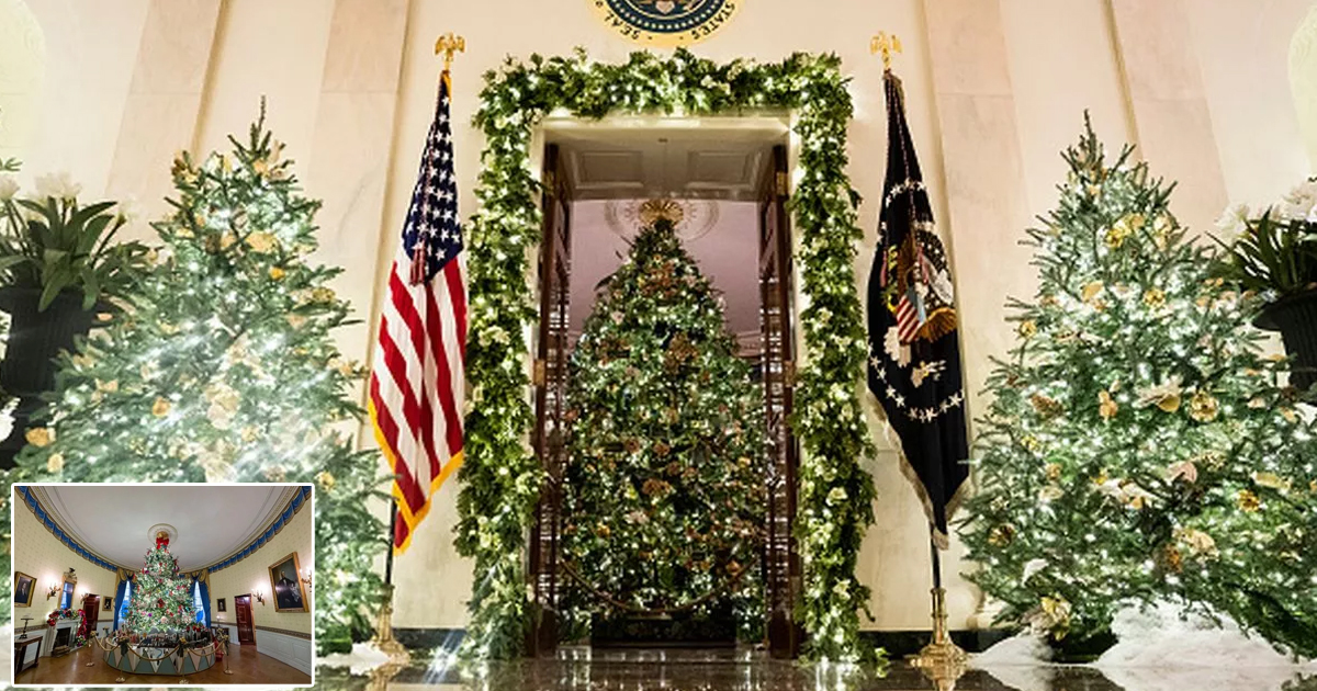 m1 10.jpg - "We Want Melania Back!"- Christmas At White House Looks 'Very Different' This Year As Jill Biden In Charge Of Decorations That Fail To Nail The Right First Impression