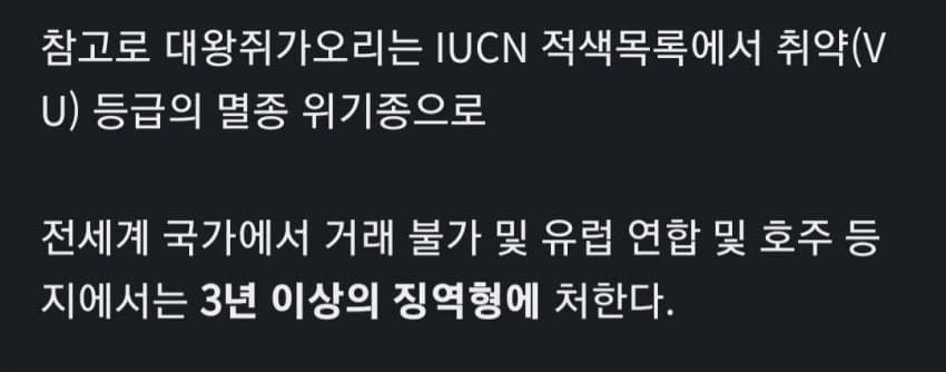 image.png 범고래를 구해줬더니 생긴 일.jpg