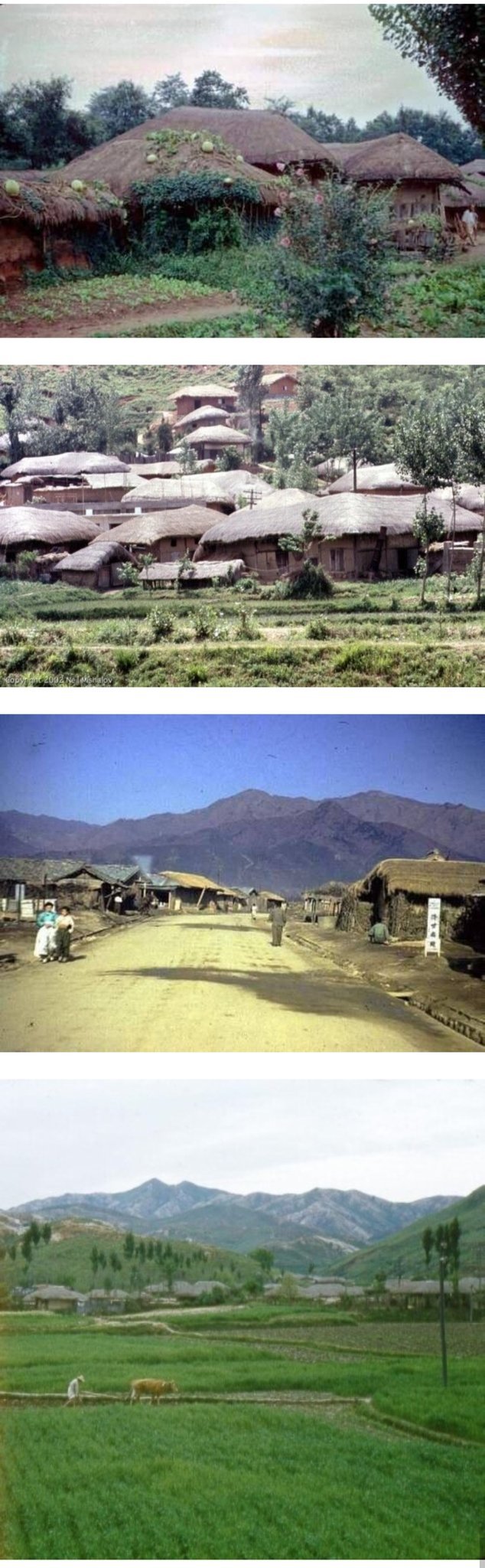 3A648AA1-F496-45D4-AA27-C4DBDB49EF0A.jpeg 2000년대 초 게시됐다가 삭제된 괴담