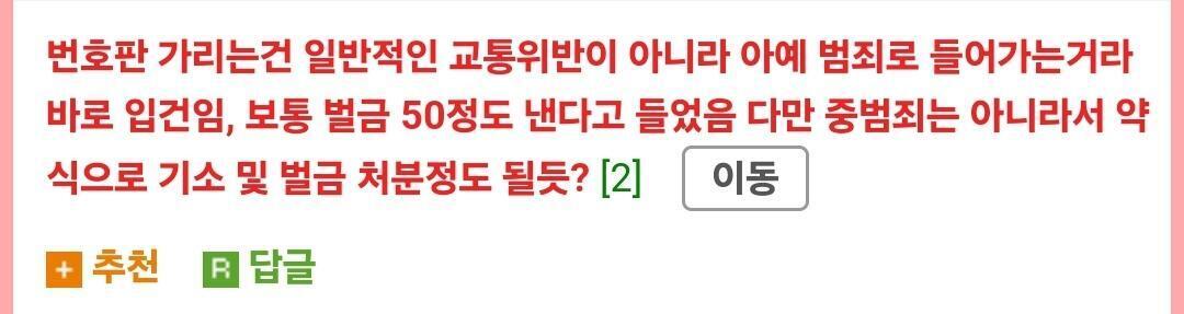 난 번호판가림 신고만 했을뿐인데 | 인스티즈