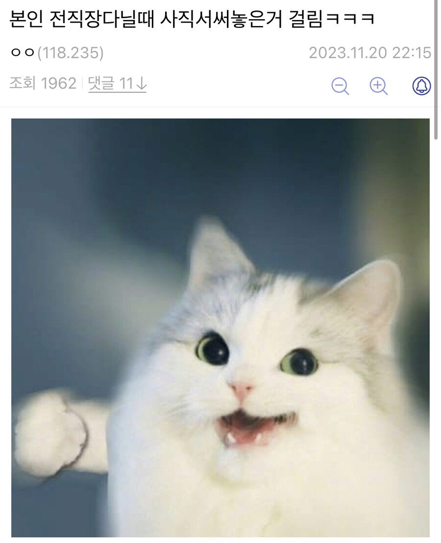 image.png 사직서 걸린 디시인.jpg