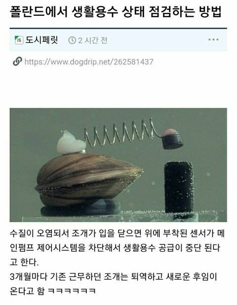 1000011277.jpg 사람 대신 수질을 점검하는 폴란드 조개.jpg