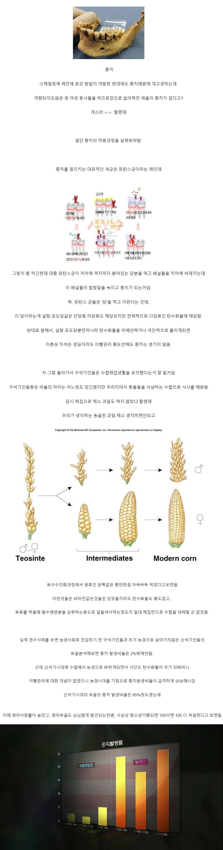 42D05B73-9CBF-4501-80A4-04168BD5CC70.jpeg 양치 안해도 충치가 안생겼던 이유.jpg