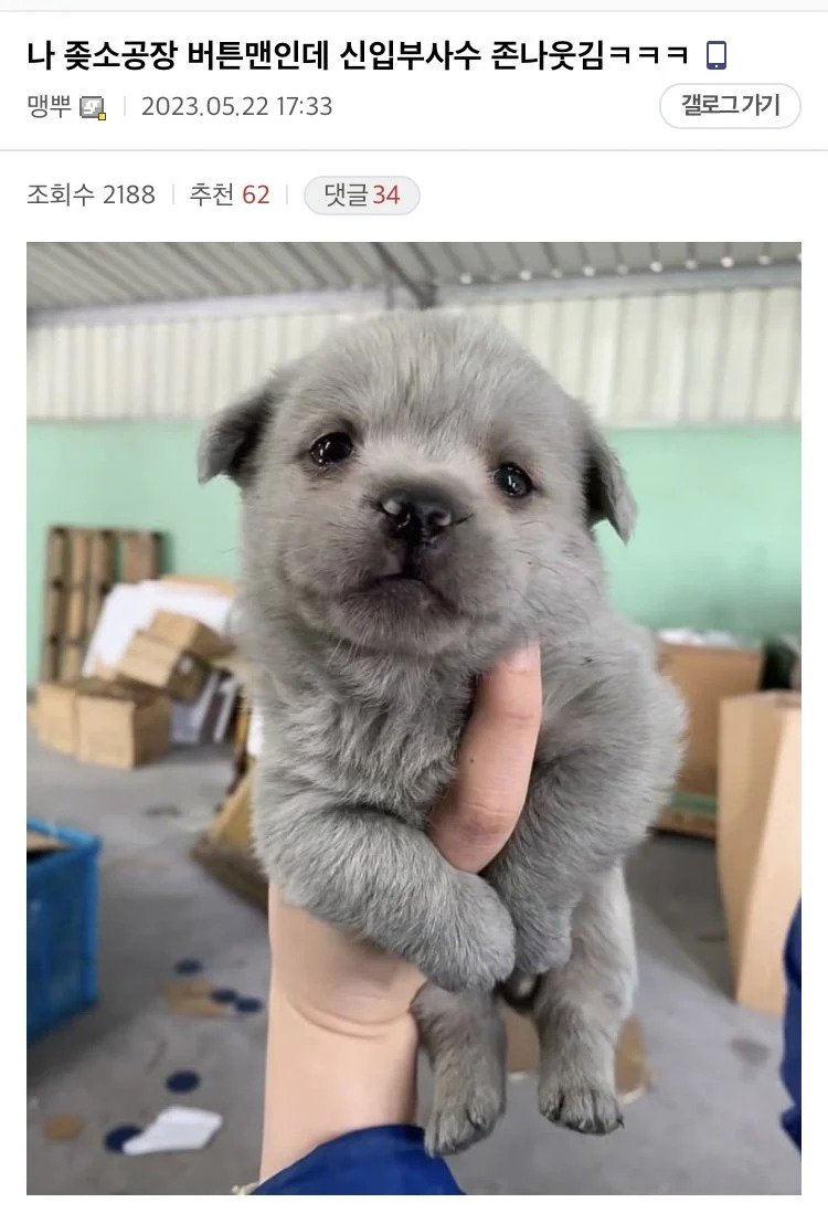 1a.webp.ren.jpg 중소기업 생산직 S급 부사수ㄷㄷ.jpg