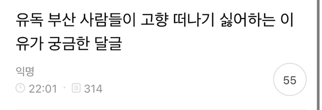 유독 부산 사람들이 고향 떠나기 싫어하는 이유가 궁금한 달글 캡쳐 | 인스티즈