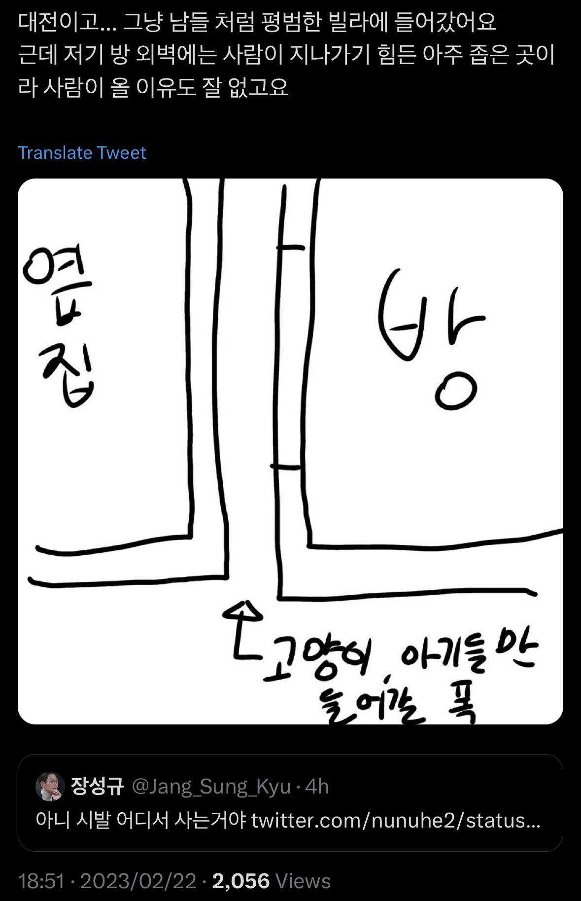 새벽 6시 1층 사는 여자 방 창문.twt | 인스티즈