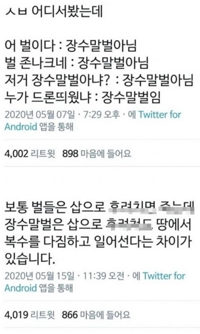 20230917134838_sXRP6fyPha.jpg 장수말벌은 진짜 이만해? ,jpg