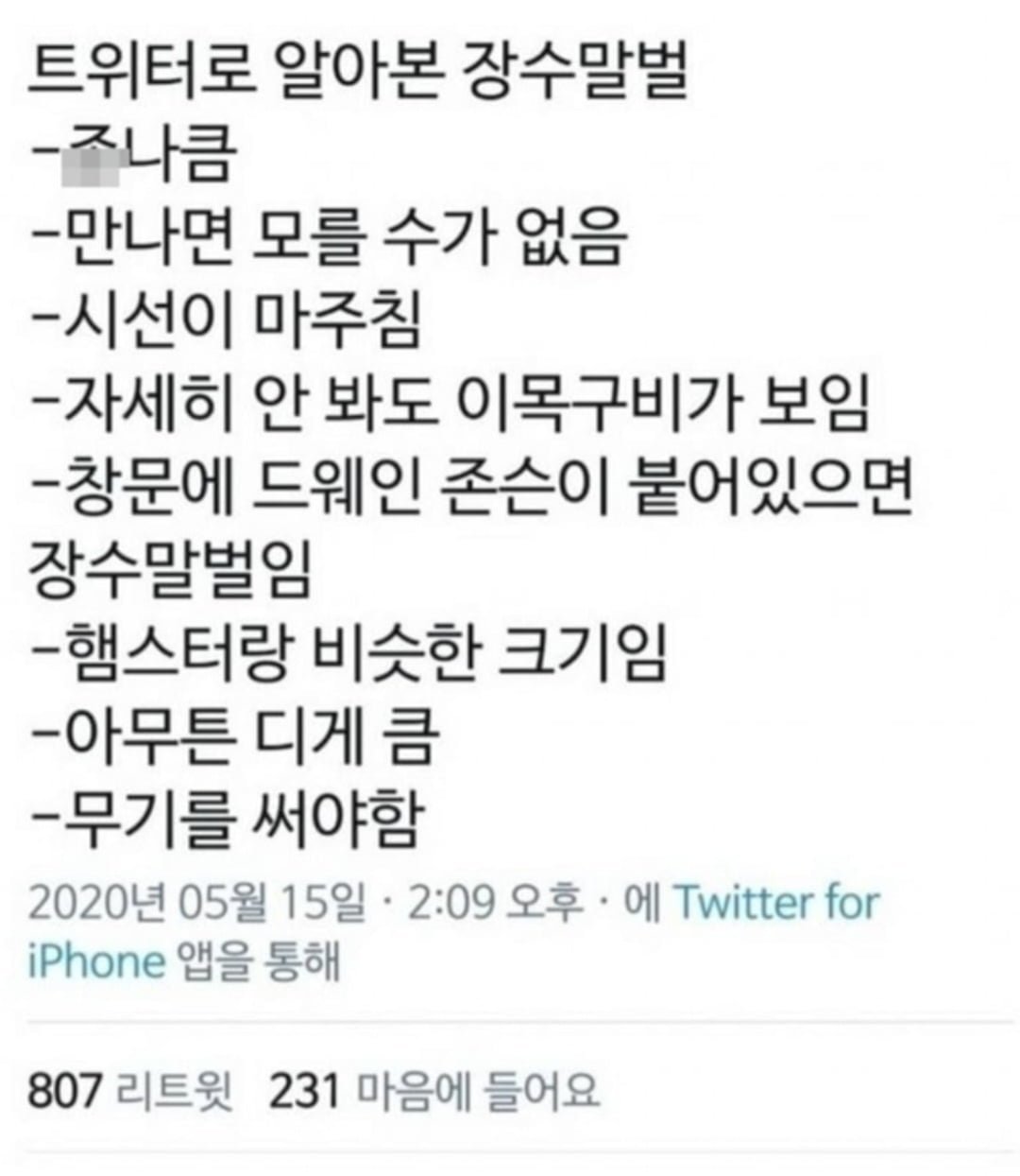 20230917134836_cZHCHOWm1U.jpg 장수말벌은 진짜 이만해? ,jpg