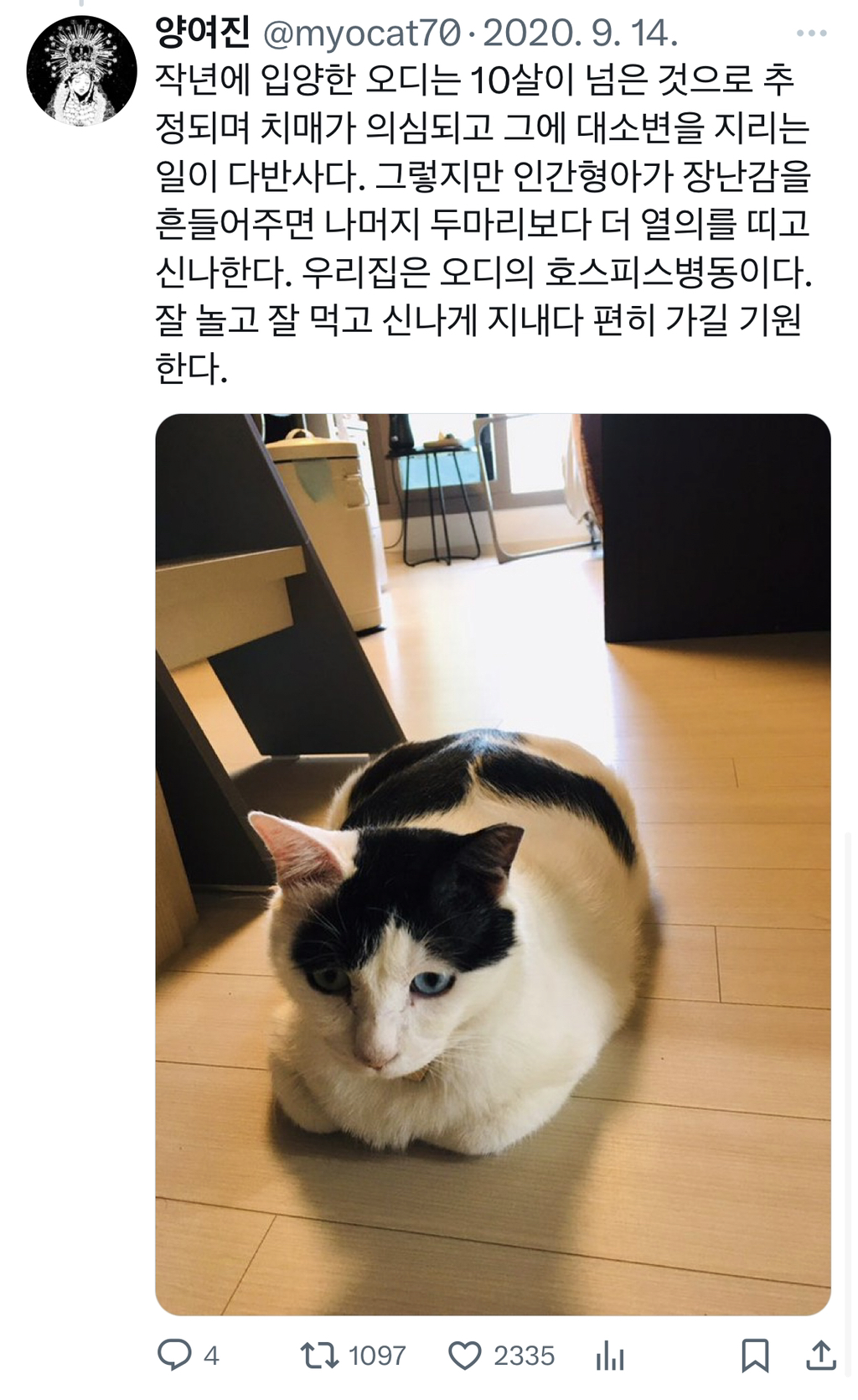 image.png 4살 난 햄스터를 동물병원에 데려갔더니 의사가 쳇바퀴를 잘 타냐고 물었다