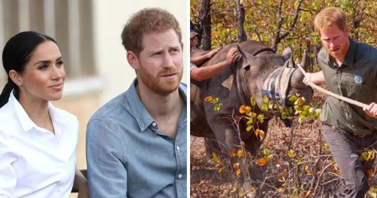 copy of articles thumbnail 1200 x 630 1 6.jpg - "What A Hypocrite!"- Prince Harry SLAMMED For Traveling To Nigeria With Meghan Markle Despite Red Travel Alert