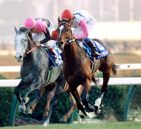 4.jpg 원근감 파괴짤의 비밀.jpg