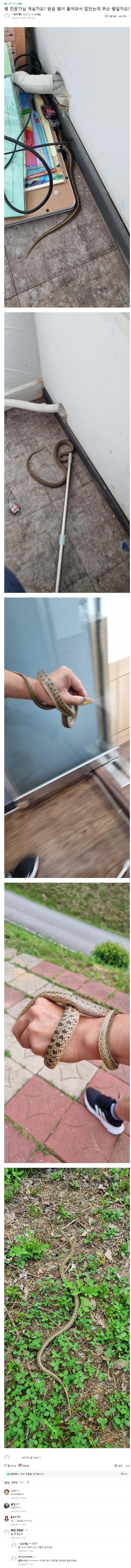 d9827internet902890763.jpg 오늘자 디x매니아에 상남자 등장 ㄷㄷㄷ..jpg