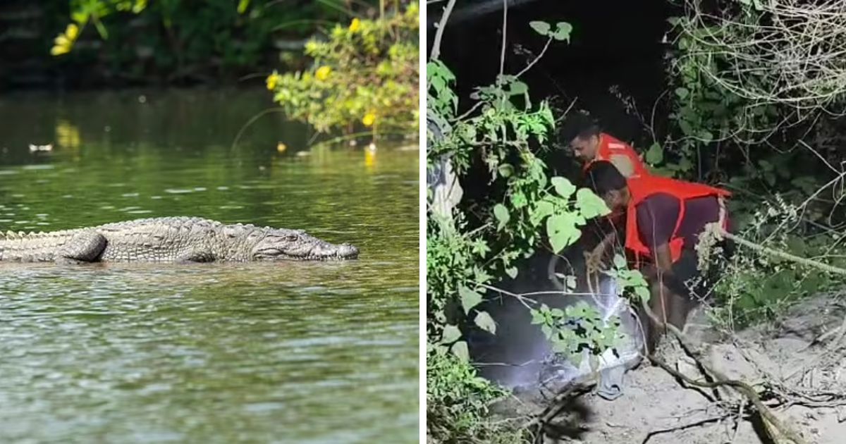 copy of articles thumbnail 1200 x 630 2.jpg - 6-Year-Old Boy THROWN Into 'Crocodile-Infested' River By His Own Mother