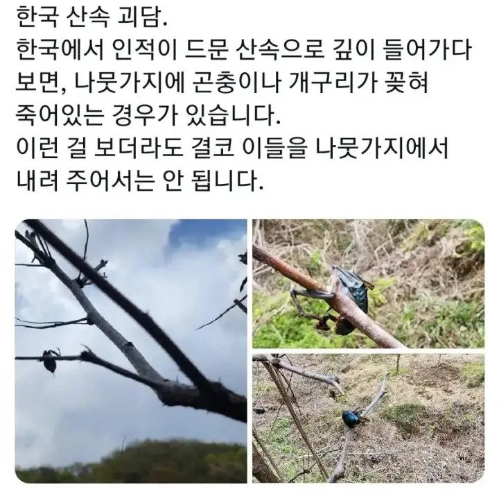 12.webp.ren.jpg 오싹오싹 한국 산속 괴담