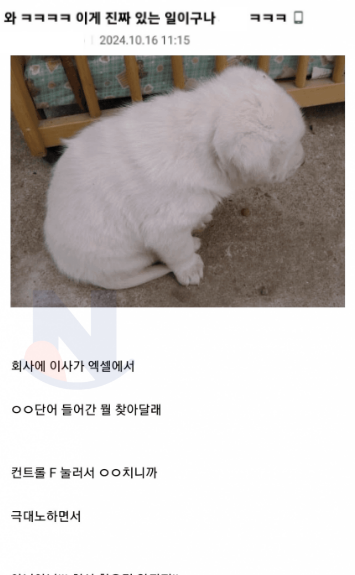 3 31.png - 이거 맞냐?? 엑셀 단축키 썼다가 이사가 지ㄹ한다ㅋㅋㅋ