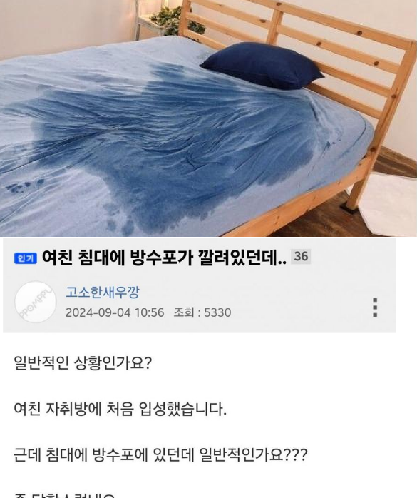 5 6.png - 여친 침대에 방수포가 깔려있던데