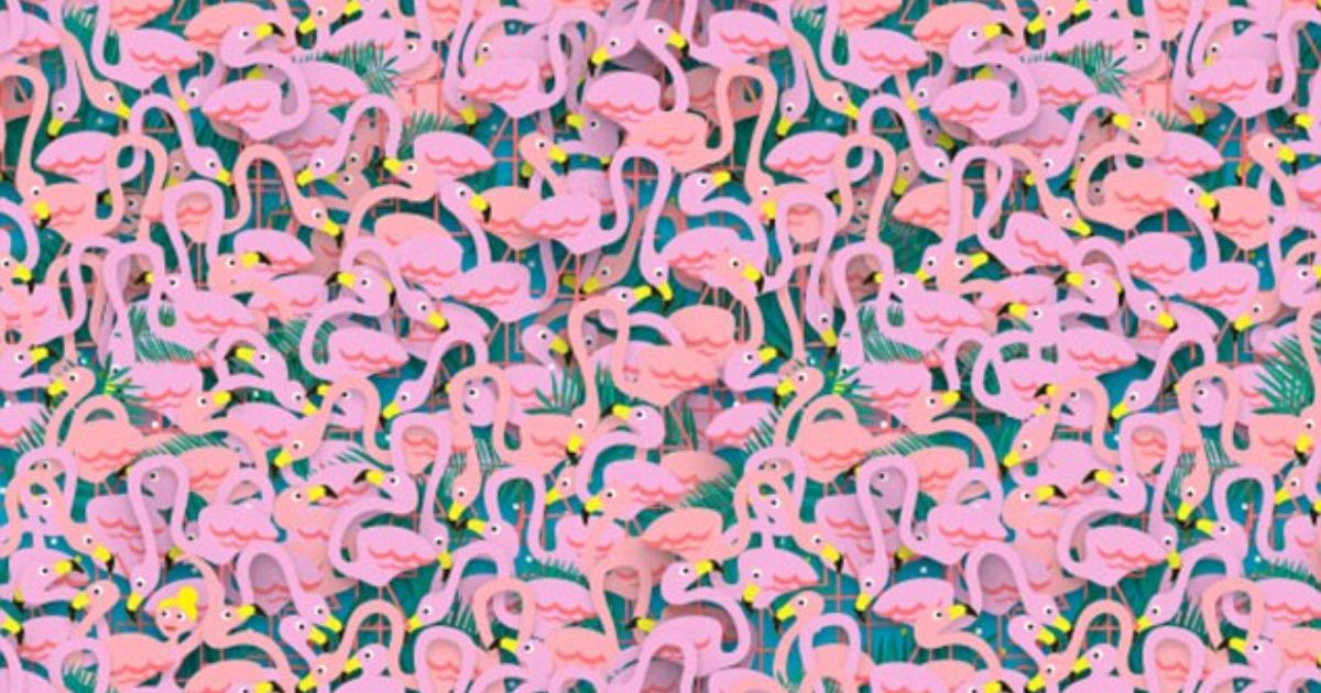 copy of articles thumbnail 1200 x 630 11 14.jpg - Can You Spot The Hidden BALLET DANCER In This Sea Of Flamingos?