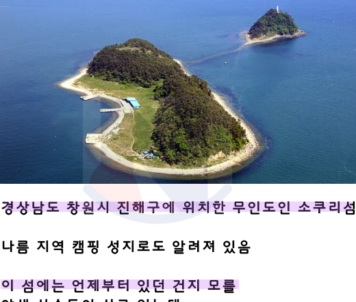 1 33.png - 한국에도 존재하고 있는 동물섬 ㅎㄷㄷ.jpg