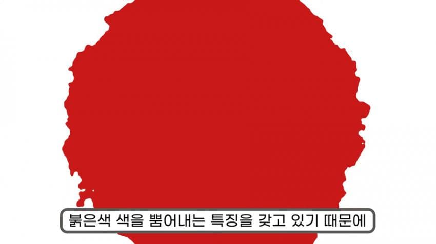 스압) 화장실 청소를 열심히 해야하는 이유