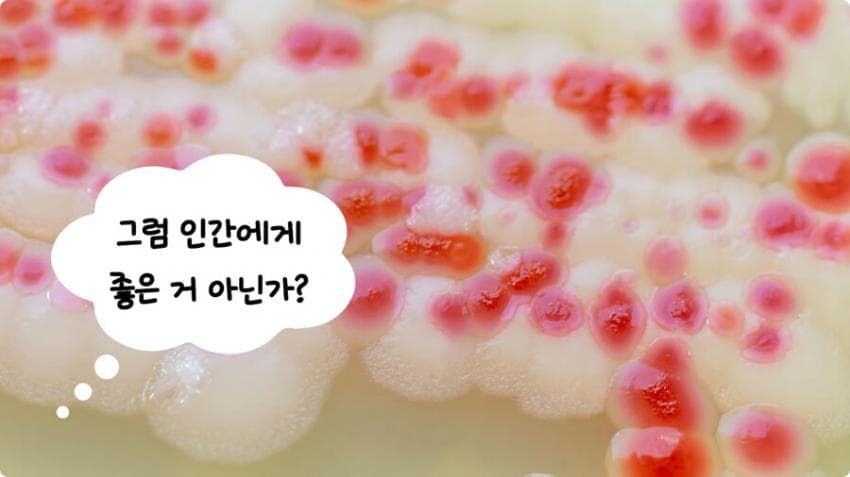 스압) 화장실 청소를 열심히 해야하는 이유