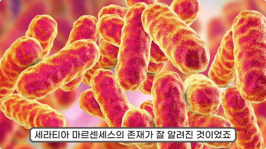 스압) 화장실 청소를 열심히 해야하는 이유