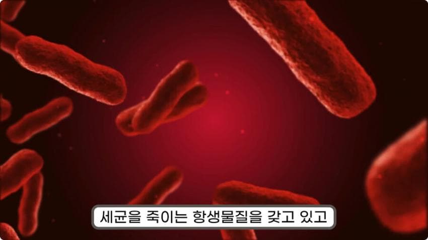 스압) 화장실 청소를 열심히 해야하는 이유