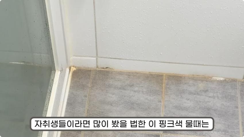 스압) 화장실 청소를 열심히 해야하는 이유