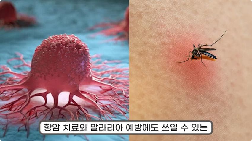 스압) 화장실 청소를 열심히 해야하는 이유