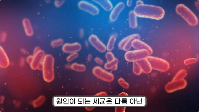 스압) 화장실 청소를 열심히 해야하는 이유