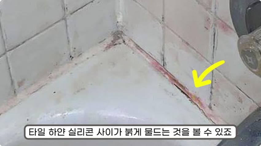 스압) 화장실 청소를 열심히 해야하는 이유