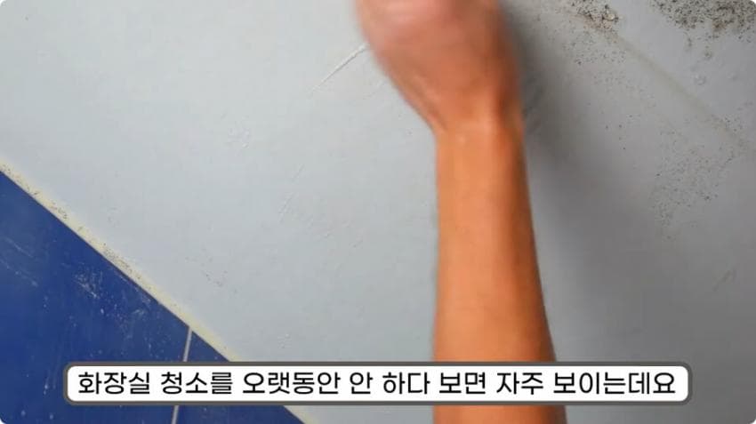 스압) 화장실 청소를 열심히 해야하는 이유